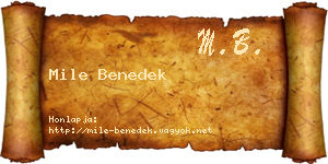 Mile Benedek névjegykártya